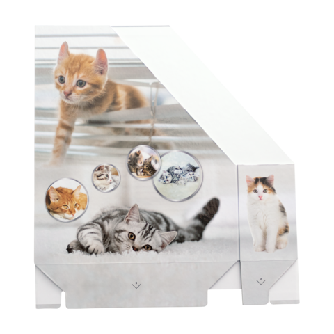 Eine Verpackung mit Bildern von verschiedenen Katzen, darunter ein orangefarbener Kater, eine graue Katze und eine dreifarbige Katze.