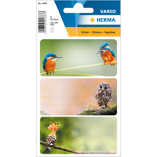 HERMA Schuletiketten