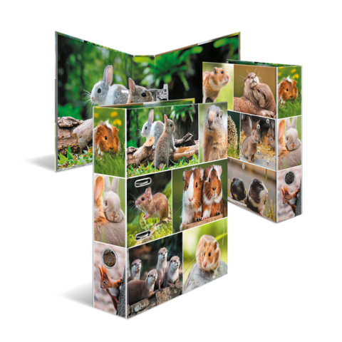 Eine aufklappbare Präsentation mit verschiedenen Bildern von Nagetieren, darunter Kaninchen, Meerschweinchen und andere kleine Tiere in natürlichen Umgebungen.