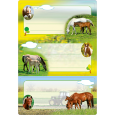 HERMA Schuletiketten