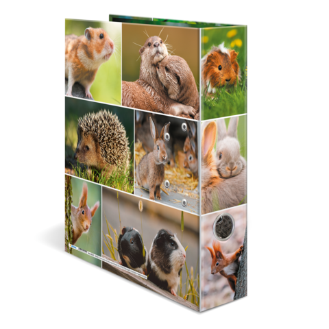 Collage von kleinen Tieren, darunter Hamster, Meerschweinchen, Igel, Kaninchen und ein Eichhörnchen, in verschiedenen Posen und Umgebungen.