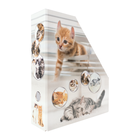 Ein Ordner mit Bildern von verschiedenen Katzen, darunter eine orangefarbene Katze, die durch eine Jalousie schaut, und eine graue Katze, die liegt.