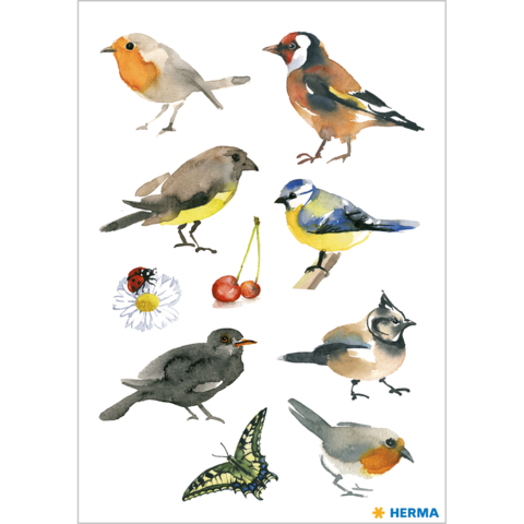 Verschiedene Vogelarten in Aquarellstil, darunter Rotkehlchen, Goldfinch, Blaumeise und andere, sowie eine Schmetterlingsillustration.