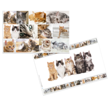 HERMA Schreibunterlagen