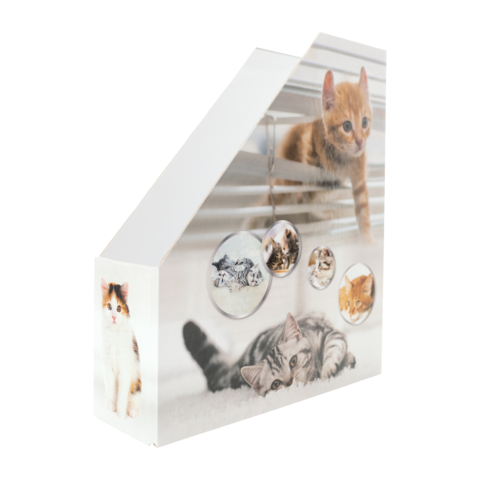 Karton mit Bildern von verschiedenen Katzen, darunter eine graue, eine orangefarbene und eine dreifarbige Katze, in verschiedenen Posen.